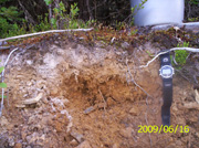 soil profile
